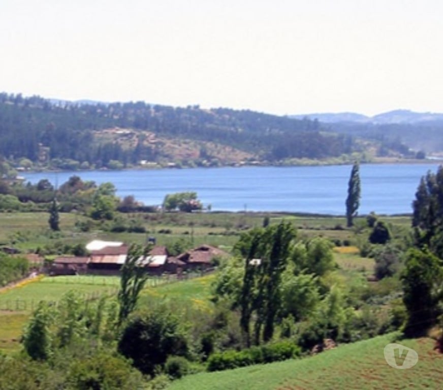 Varios Curicó Vichuquén - Fotos de Vendo casa en Fundo La Quesería, sitio 18, lago Vichuquén.