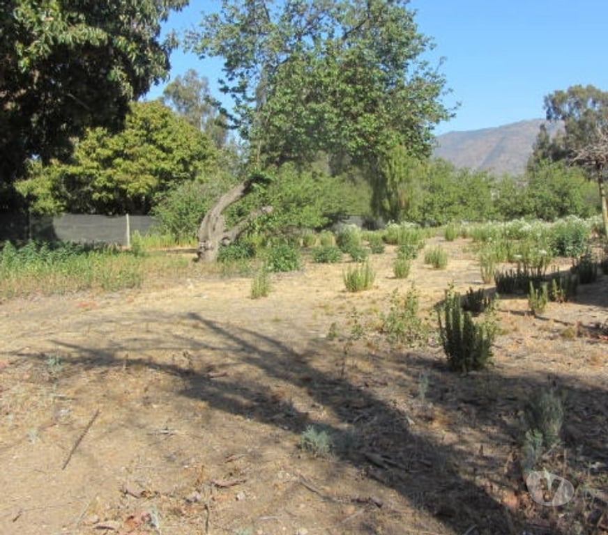 Parcelas en Venta Valparaíso Quilpué - Fotos de PARCELA CON DOS CABAÑAS SECTOR VALLE DEL ESTERO QUINTERO
