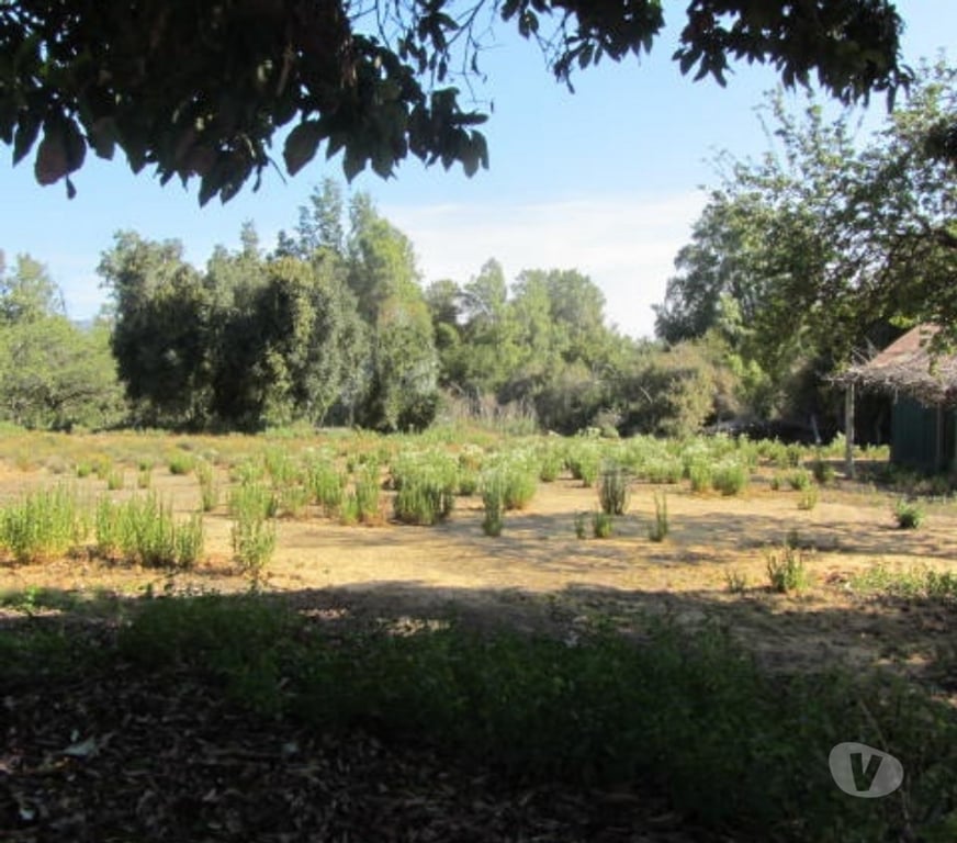 Parcelas en Venta Valparaíso Quilpué - Fotos de PARCELA CON DOS CABAÑAS SECTOR VALLE DEL ESTERO QUINTERO