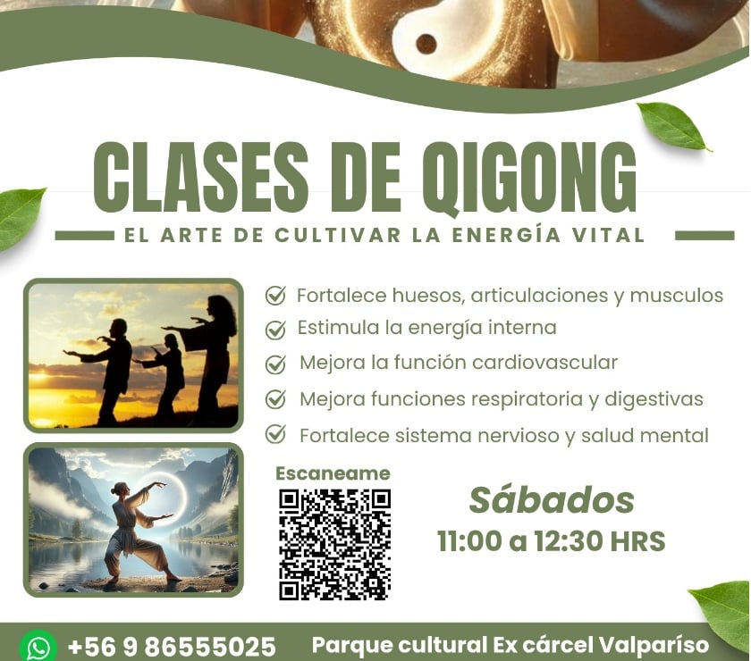 Otros Cursos Valparaíso Valparaíso - Fotos de clases de tai chi y Qigong valparaíso