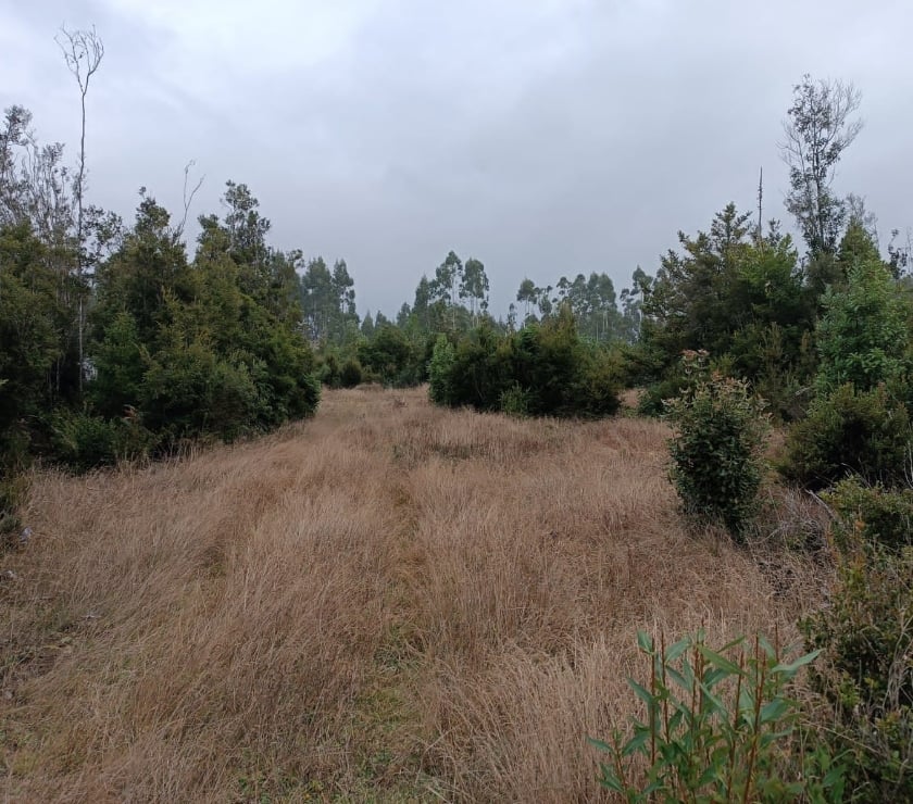 Venta de Haciendas Llanquihue Puerto Montt - Fotos de se vende parcela