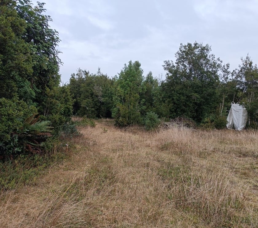 Venta de Haciendas Llanquihue Puerto Montt - Fotos de se vende parcela