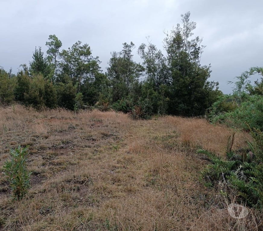 Venta de Haciendas Llanquihue Puerto Montt - Fotos de se vende parcela