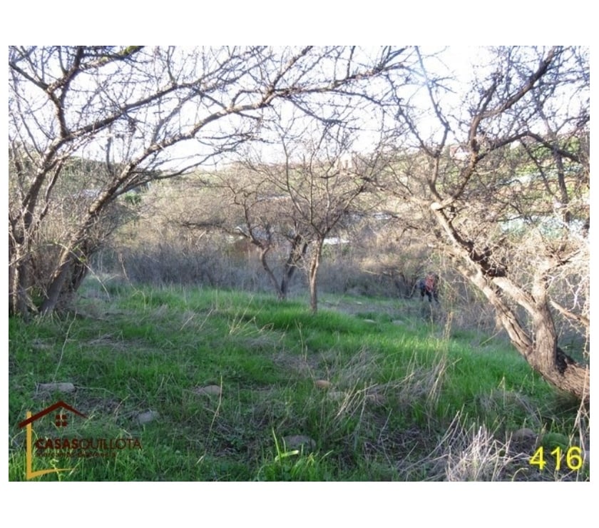 Parcelas en Venta Quillota Quillota - Fotos de Se vende, parcela en lugar tranquilo, alejado del ruido.