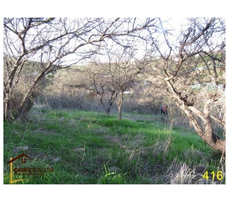 Parcelas en Venta Quillota Quillota - Fotos de Se vende, parcela en lugar tranquilo, alejado del ruido.