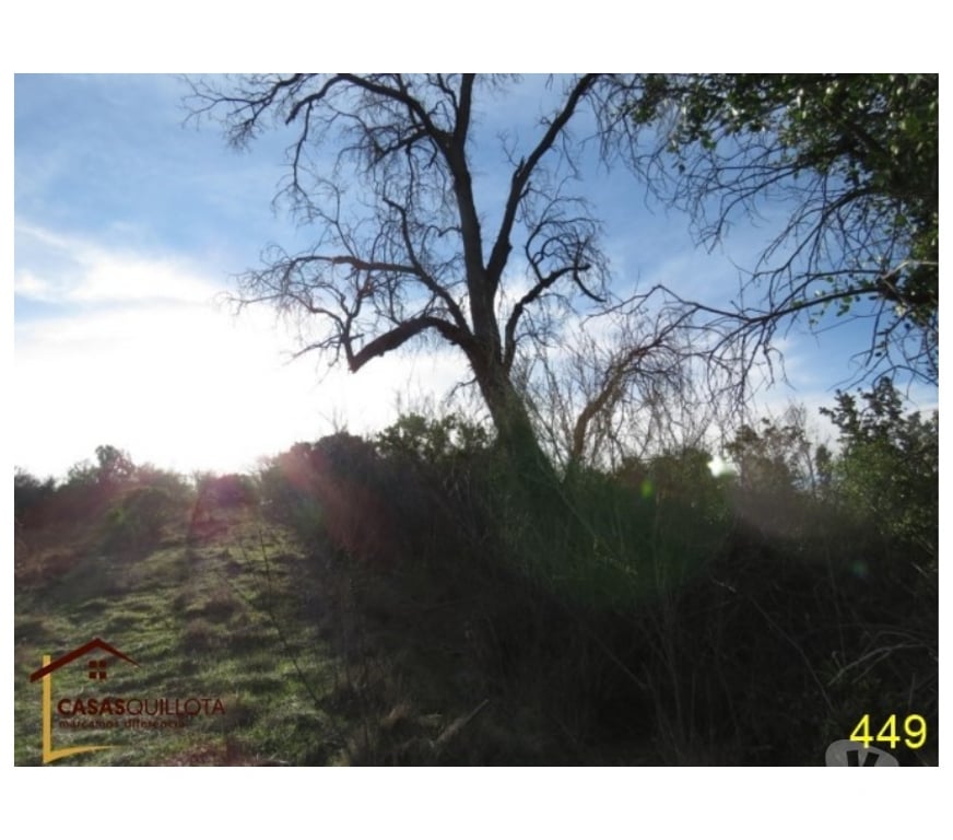 Parcelas en Venta Valparaíso Villa Alemana - Fotos de En venta, espectacular parcela de 7.300 metros.