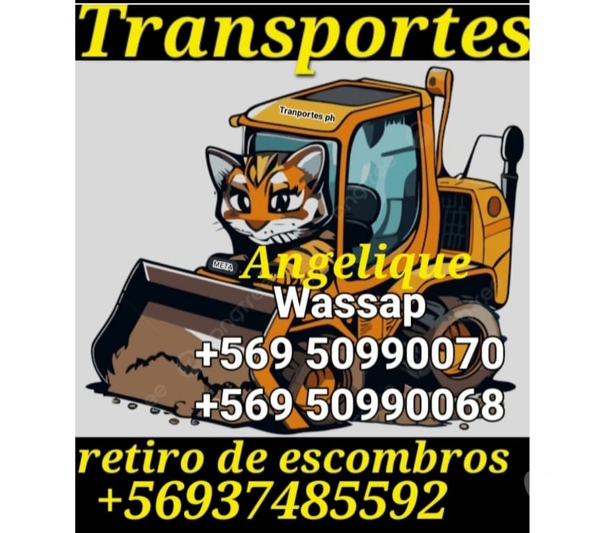 Fletes y Mudanzas - Transportes Santiago San Miguel - Fotos de Fletes san Miguel retiro escombros stgo +56986369242