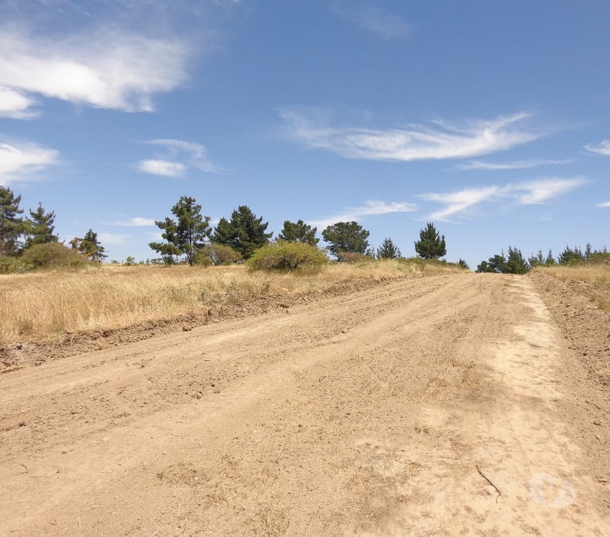 Parcelas en Venta San Antonio Santo Domingo - Fotos de Parcela 5.000 m2. Santo Domingo