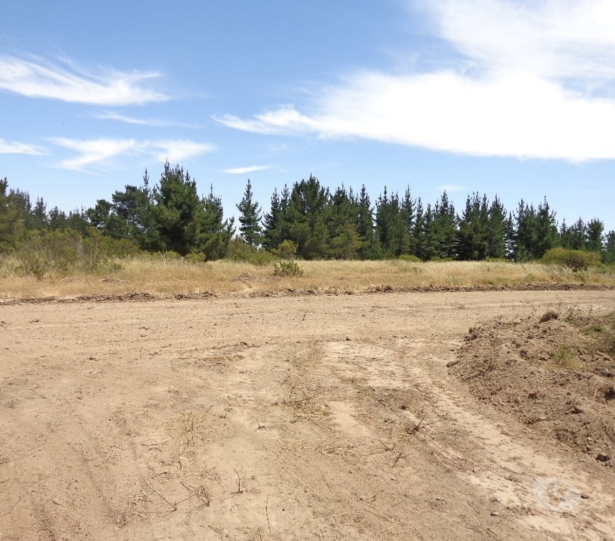 Parcelas en Venta San Antonio Santo Domingo - Fotos de Parcela 5.000 m2. Santo Domingo