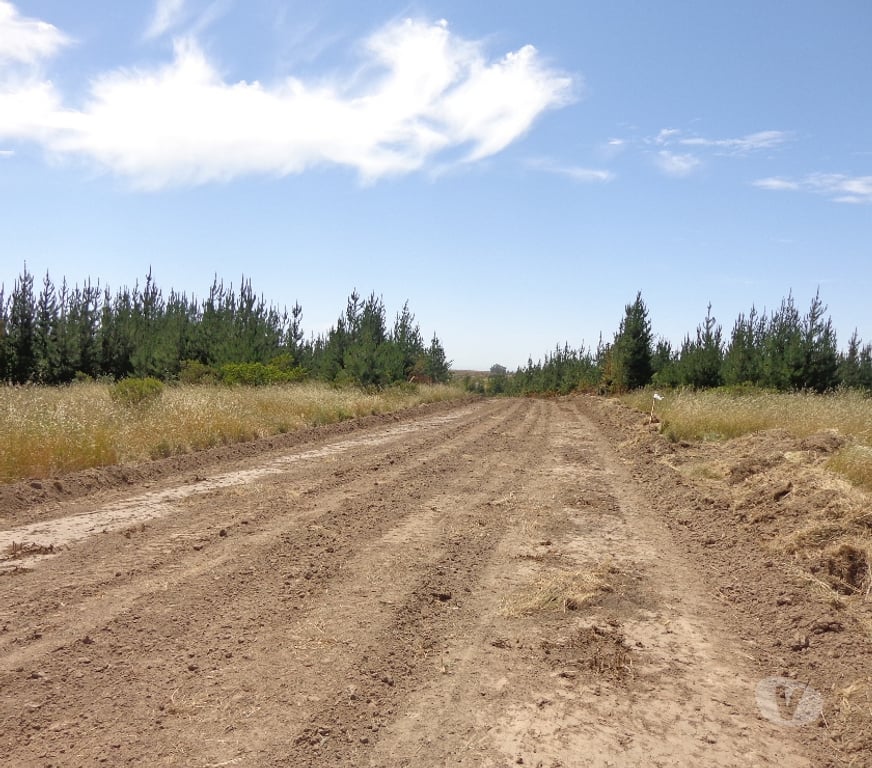 Parcelas en Venta San Antonio Santo Domingo - Fotos de Parcela 5.000 m2. Santo Domingo