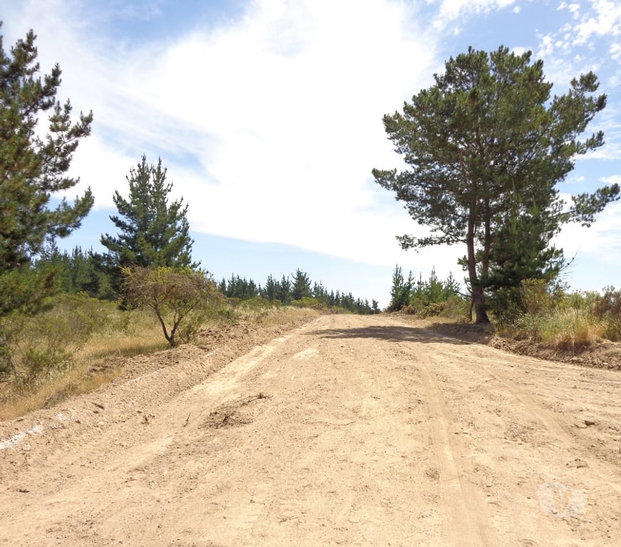 Parcelas en Venta San Antonio Santo Domingo - Fotos de Parcela 5.000 m2. Santo Domingo