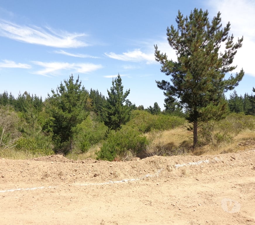 Parcelas en Venta San Antonio Santo Domingo - Fotos de Parcela 5.000 m2. Santo Domingo