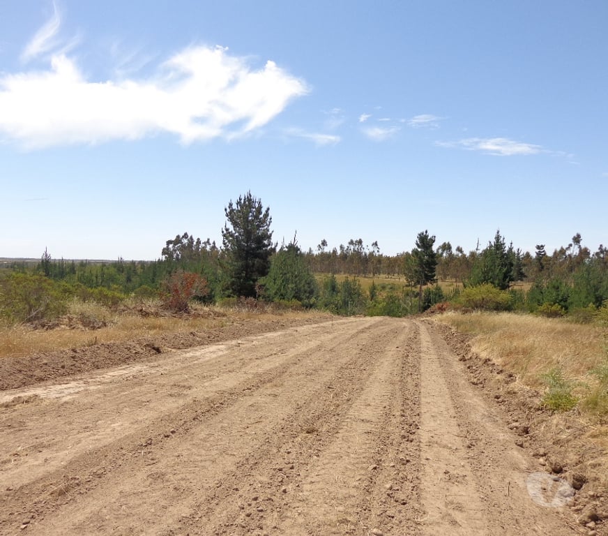 Parcelas en Venta San Antonio Santo Domingo - Fotos de Parcela 5.000 m2. Santo Domingo