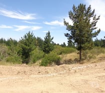 Parcela 5.000 m2. Santo Domingo