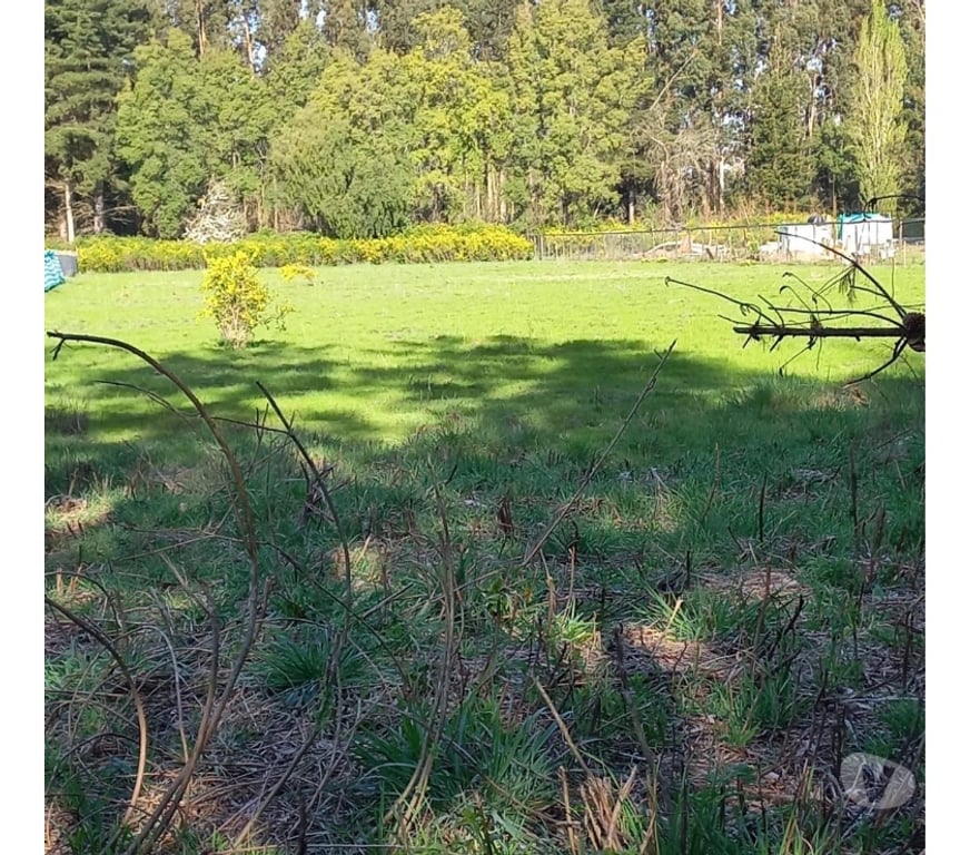 Parcelas en Venta Bío-Bío Los Ángeles - Fotos de Se VENDE hermosa parcela en Los Ángeles