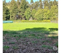 Fotos de Se VENDE hermosa parcela en Los Ángeles
