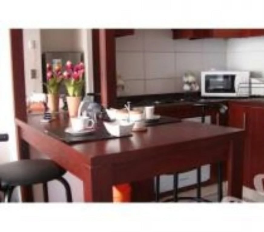 Casas amobladas Santiago Santiago - Fotos de Dpto Amoblado Metro UC 2 personas Juvenil Comodo Central