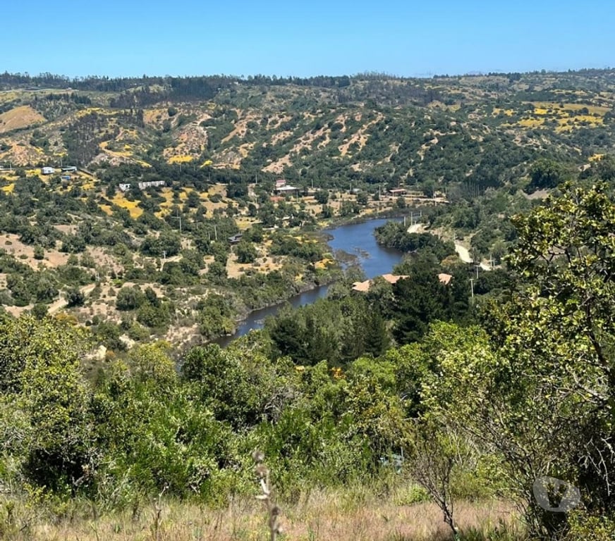 Venta de Haciendas Valparaíso Casablanca - Fotos de 🌿 VENTA DE DOS PARCELAS CONTIGUAS EN FUNDO EL ROMERAL