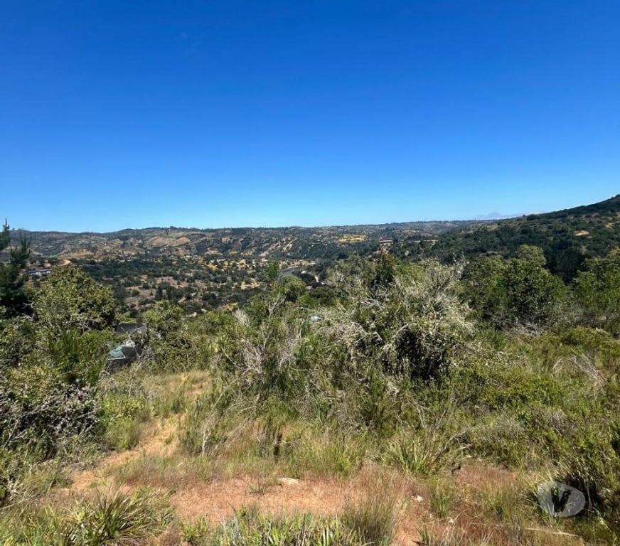 Venta de Haciendas Valparaíso Casablanca - Fotos de 🌿 VENTA DE DOS PARCELAS CONTIGUAS EN FUNDO EL ROMERAL