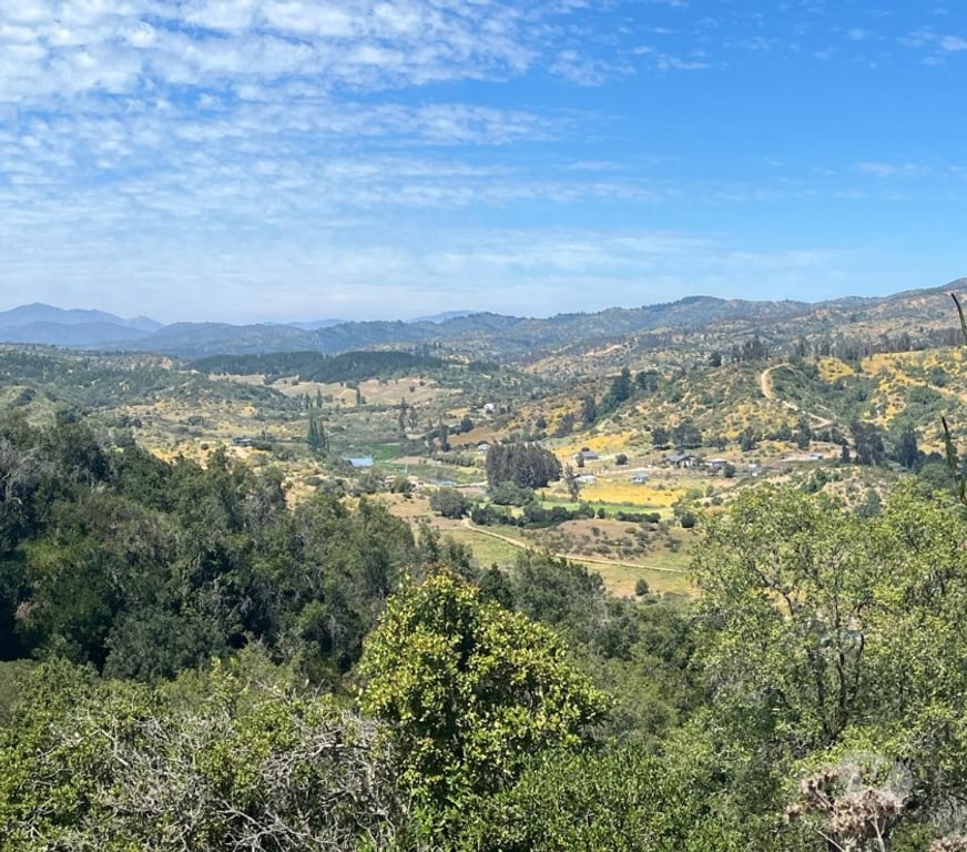 Venta de Haciendas Valparaíso Casablanca - Fotos de 🌿 VENTA DE DOS PARCELAS CONTIGUAS EN FUNDO EL ROMERAL