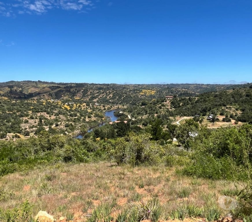 Venta de Haciendas Valparaíso Casablanca - Fotos de 🌿 VENTA DE DOS PARCELAS CONTIGUAS EN FUNDO EL ROMERAL