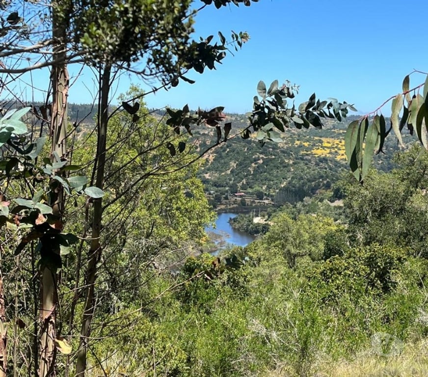 Venta de Haciendas Valparaíso Casablanca - Fotos de 🌿 VENTA DE DOS PARCELAS CONTIGUAS EN FUNDO EL ROMERAL