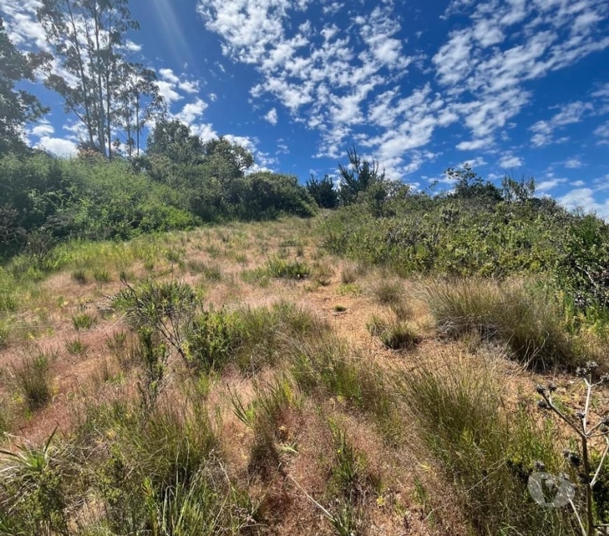 Venta de Haciendas Valparaíso Casablanca - Fotos de 🌿 VENTA DE DOS PARCELAS CONTIGUAS EN FUNDO EL ROMERAL