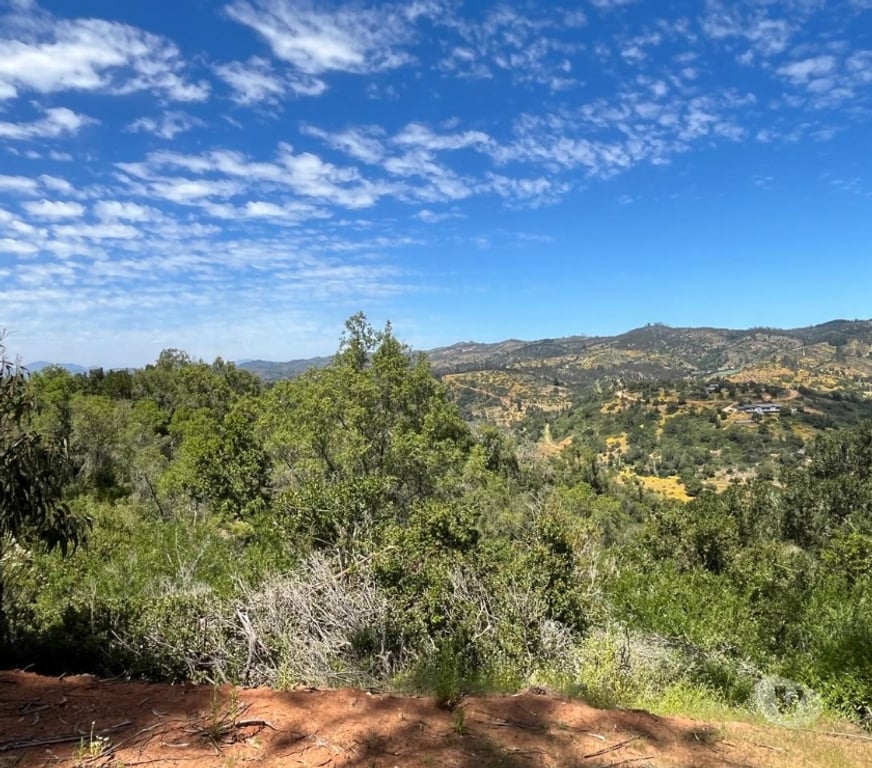 Venta de Haciendas Valparaíso Casablanca - Fotos de 🌿 VENTA DE DOS PARCELAS CONTIGUAS EN FUNDO EL ROMERAL