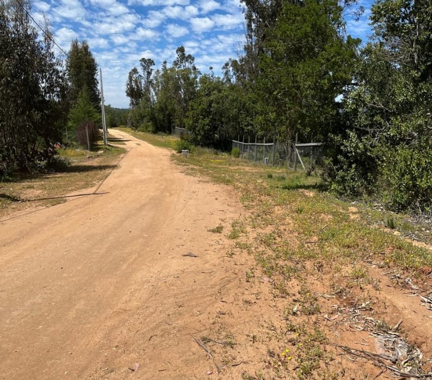 Venta de Haciendas Valparaíso Casablanca - Fotos de 🌿 VENTA DE DOS PARCELAS CONTIGUAS EN FUNDO EL ROMERAL