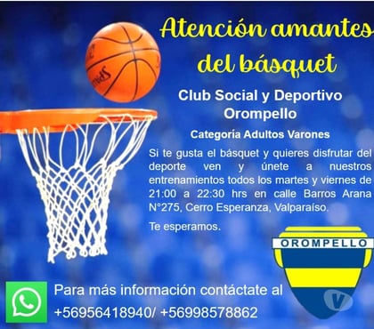 Actividades Tiempo Libre Valparaíso Valparaíso - Fotos de Reclutamiento de Jugadores basquetboll