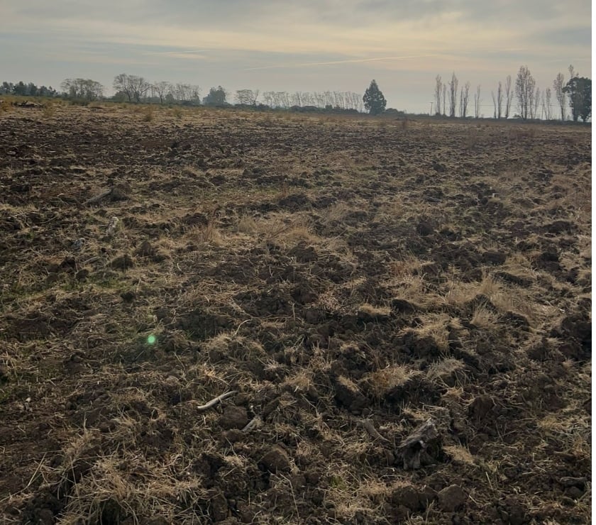 Campos-Fundos-Haciendas Chillán Ñuble - Fotos de VENDO 500 ha planas de riego Ñuble