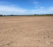 VENDO 945 ha planas de riego Ñuble