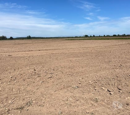 Campos-Fundos-Haciendas Chillán Ñuble - Fotos de VENDO 945 ha planas de riego Ñuble