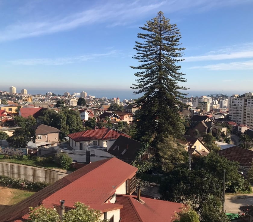 Arriendos Viña del Mar Valparaíso - Fotos de ARRIENDO DEPARTAMENTO ETCHEVERS ALTO VIÑA DEL MAR
