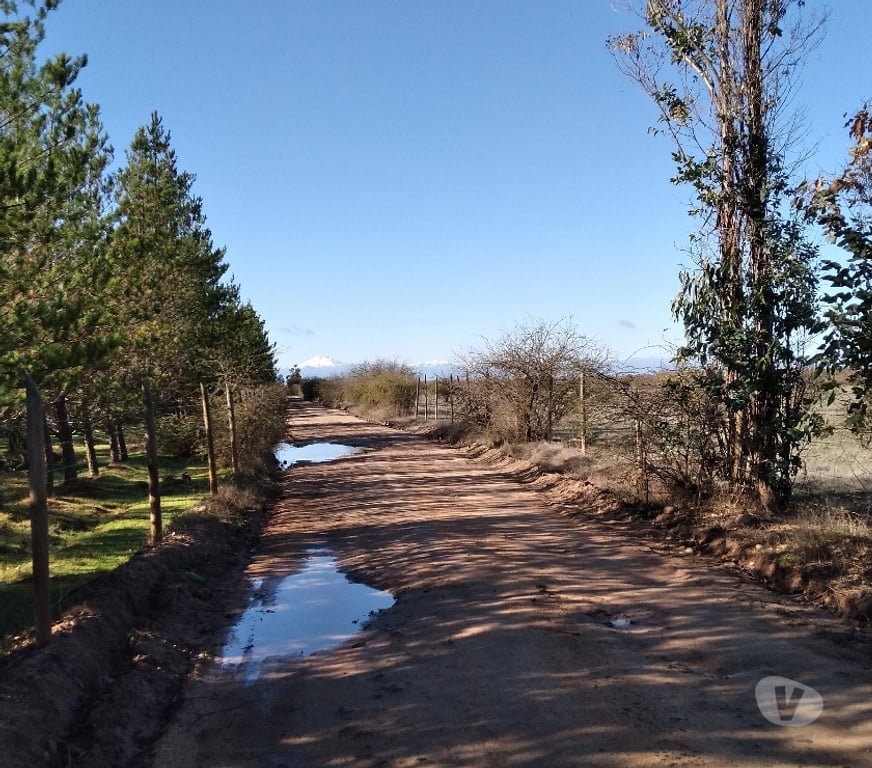 Parcelas en Venta Cauquenes Cauquenes - Fotos de Terreno Parcelación en 7 Parcelas