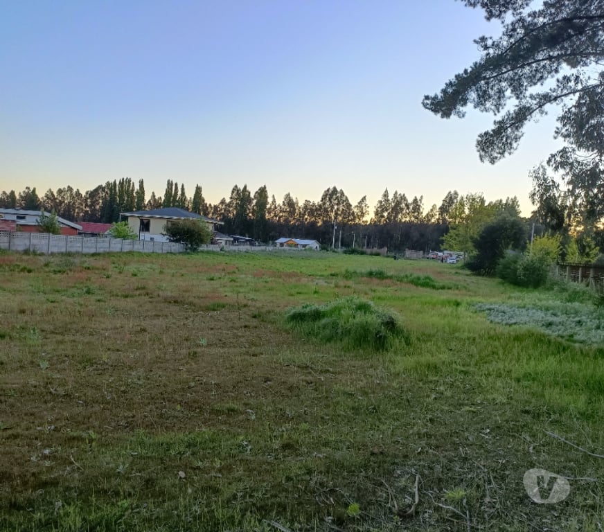 Parcelas en Venta Bío-Bío Los Ángeles - Fotos de Vendo Parcela Sector Campo Alegre