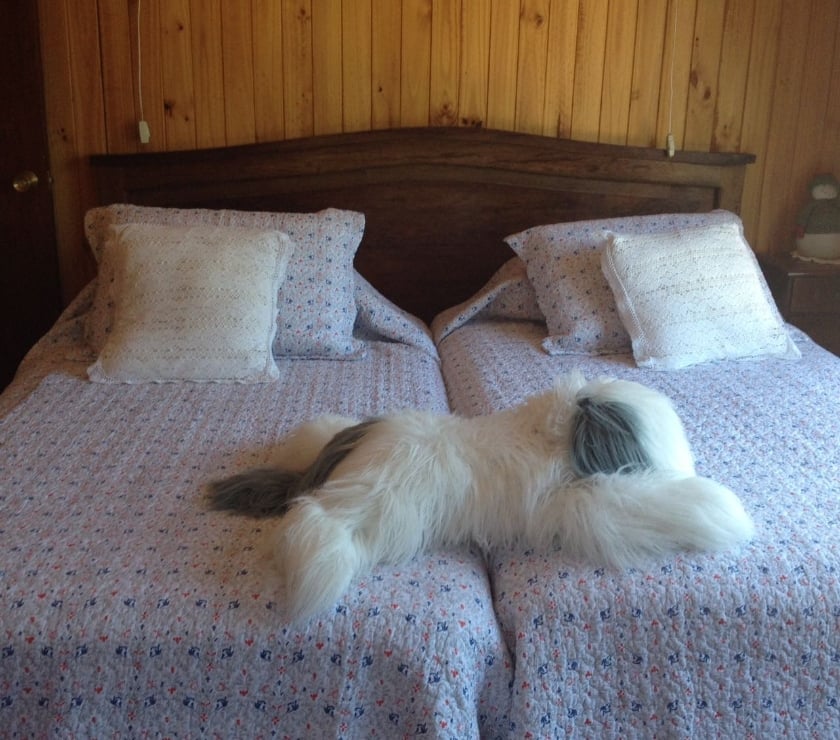 Arriendos Vacaciones Llanquihue Puerto Varas - Fotos de Arriendo de verano Enero - Febrero 2026