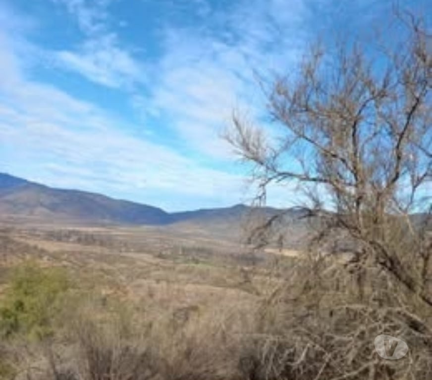 Parcelas en Venta Melipilla Melipilla - Fotos de Parcela 38.000mts2 con Casa Grande Melipilla