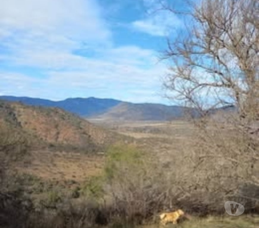 Parcelas en Venta Melipilla Melipilla - Fotos de Parcela 38.000mts2 con Casa Grande Melipilla