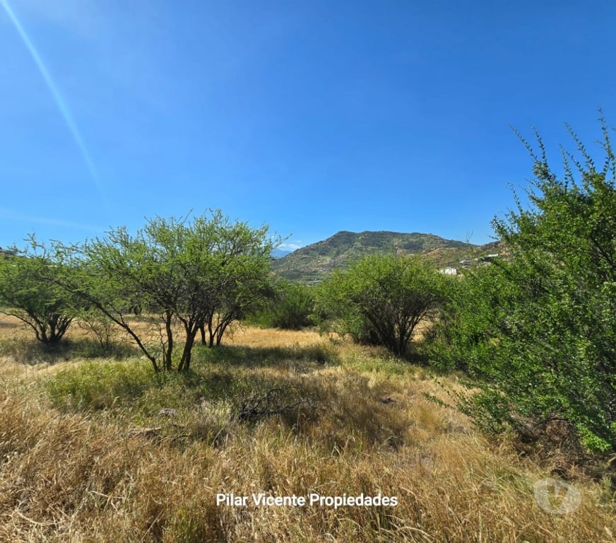 Parcelas en Venta Cachapoal Coínc - Fotos de Venta de Parcela Condominio Coinco