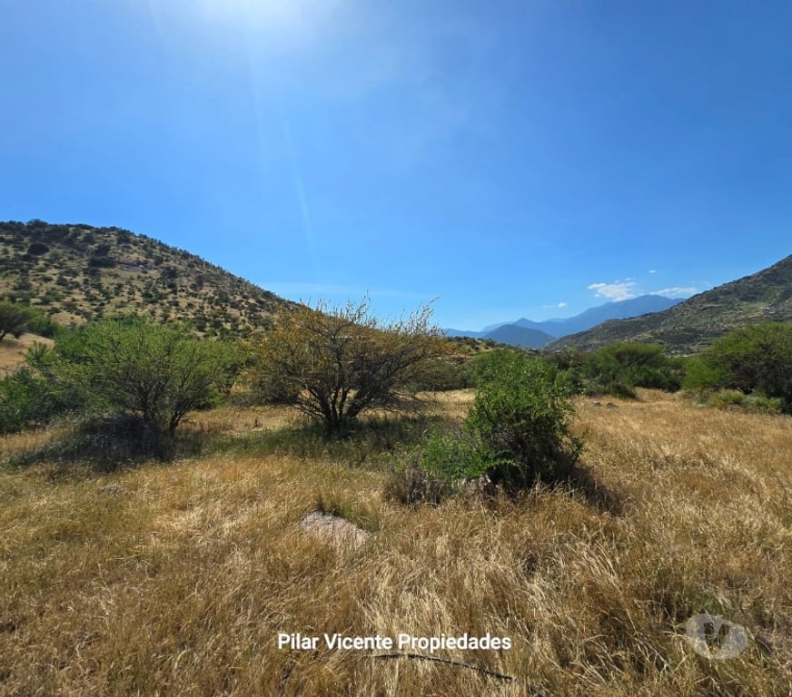 Parcelas en Venta Cachapoal Coínc - Fotos de Venta de Parcela Condominio Coinco