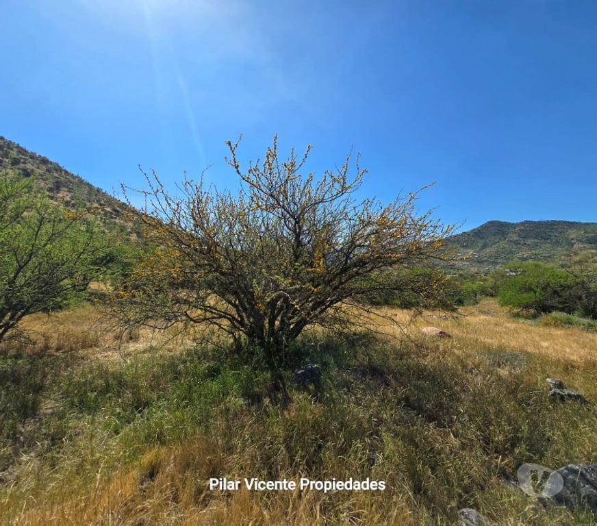 Parcelas en Venta Cachapoal Coínc - Fotos de Venta de Parcela Condominio Coinco