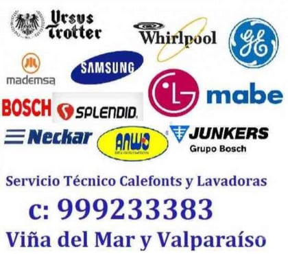 Reparaciones-Decoraciones Viña del Mar Valparaíso - Fotos de ESTUFAS DE PATIO SERVICIO RECCO TROTTER c 999233383 CONCON