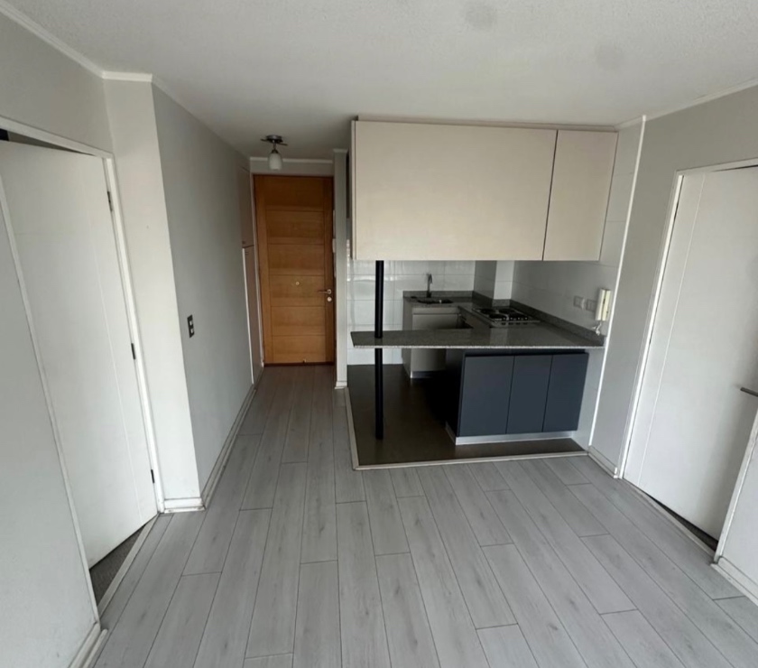 Bienes Raices Santiago Recoleta - Fotos de Departamento Venta 2 Dormitorios estilo mariposa