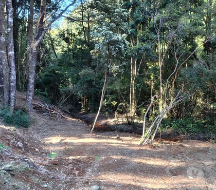 Parcelas Valdivia Valdivia - Fotos de Parcelas cerca de Valdivia