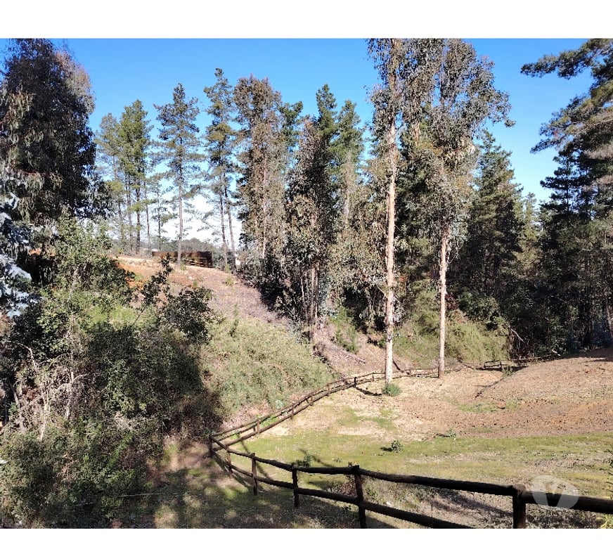 Parcelas en Venta San Antonio El Quisco - Fotos de TERRENOS EN ISLA NEGRA, CREDITO DIRECTO