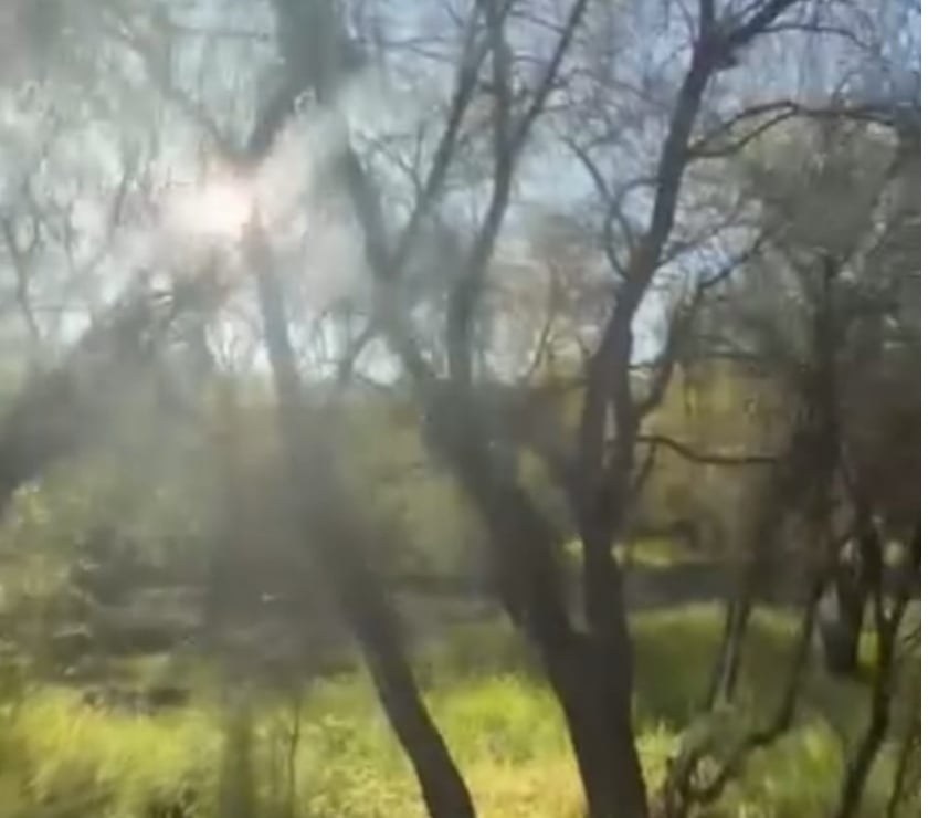 Venta de Haciendas Maipo Paine - Fotos de Excelente parcela de 8.880 m², 100 % plana