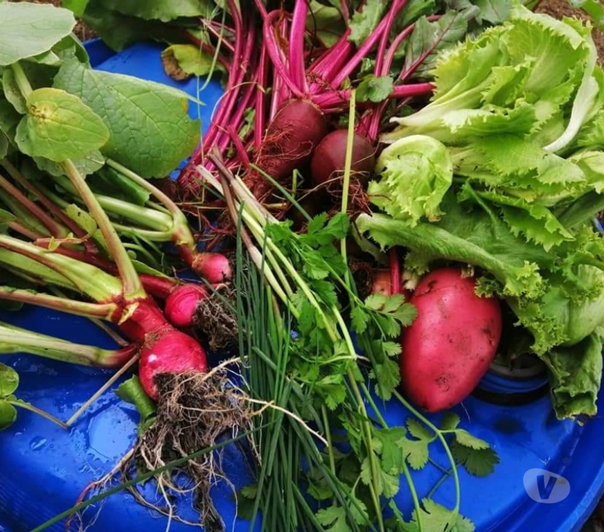 Bienes Raices Petorca La Ligua - Fotos de Venta de condominio sustentable con vista al mar