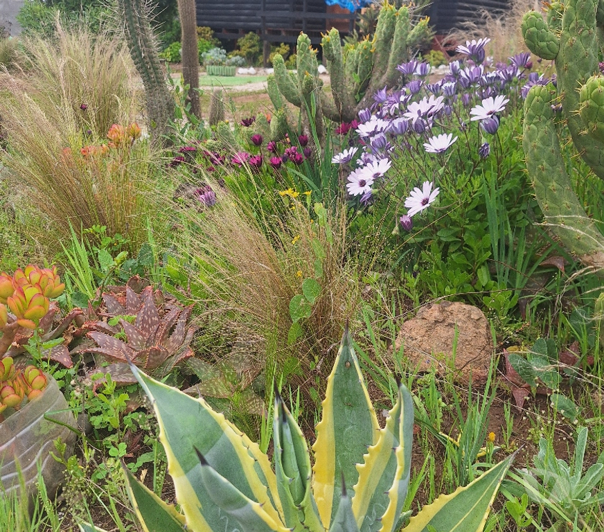 Bienes Raices Petorca La Ligua - Fotos de Venta de condominio sustentable con vista al mar