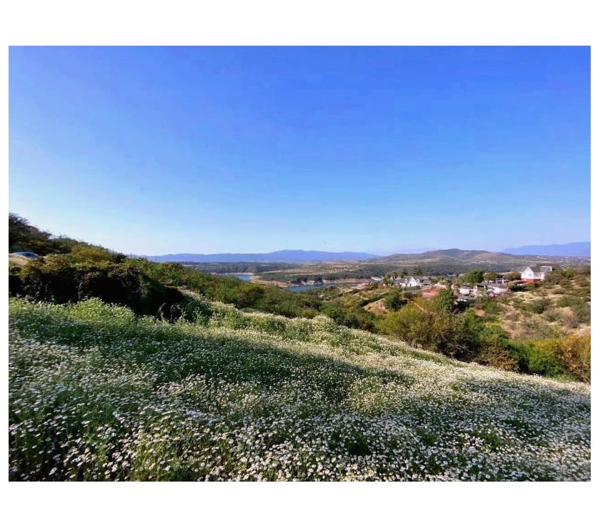 Parcelas en Venta Quillota Limache - Fotos de Vende Parcela Embalso Los Aromos 5.000 m2. Rol propio.